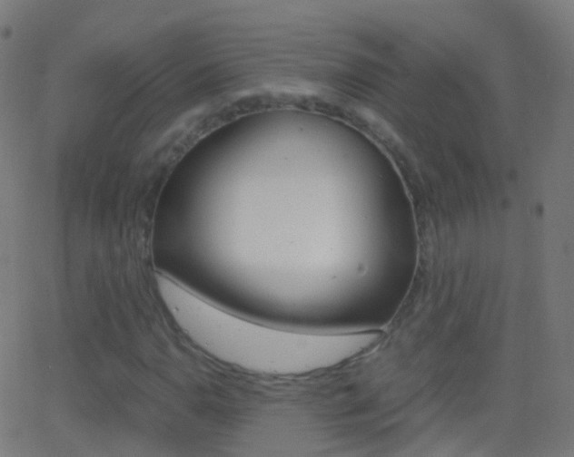 X0000062831110200601130907
