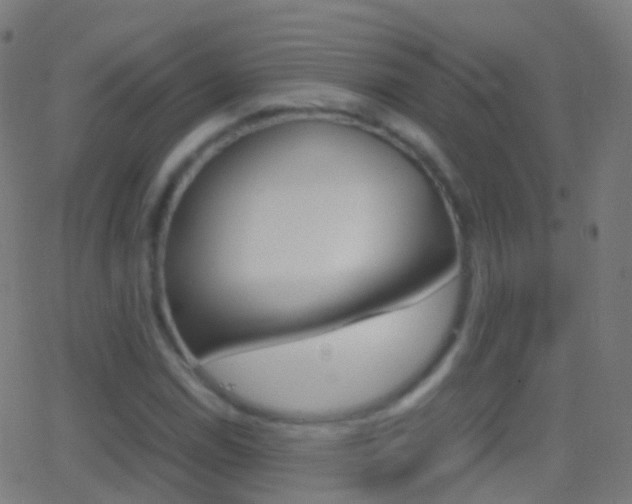 X0000062831114200601130907