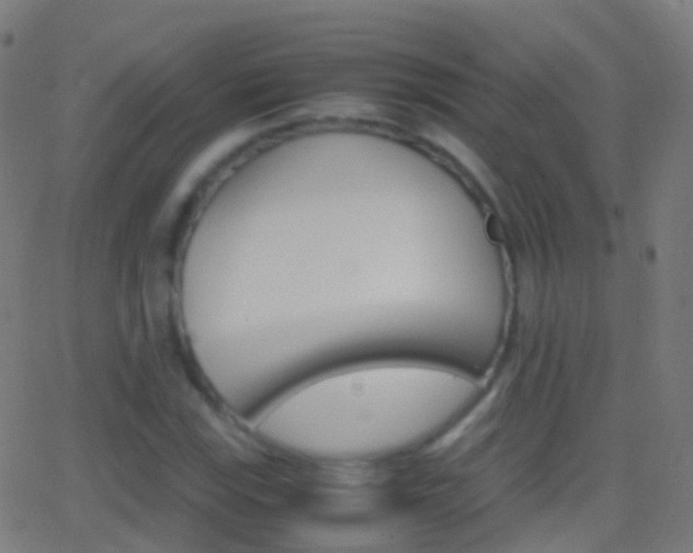 X0000062831115200601130907