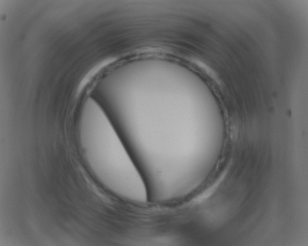 X0000062831117200601130907