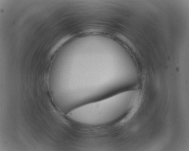 X0000062831121200601130907