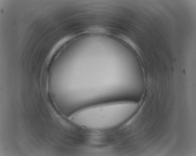 X0000062831123200601130907