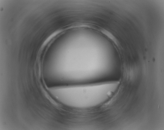 X0000062831127200601130907
