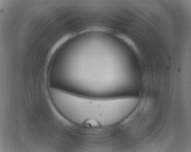 X0000062831135200601130907