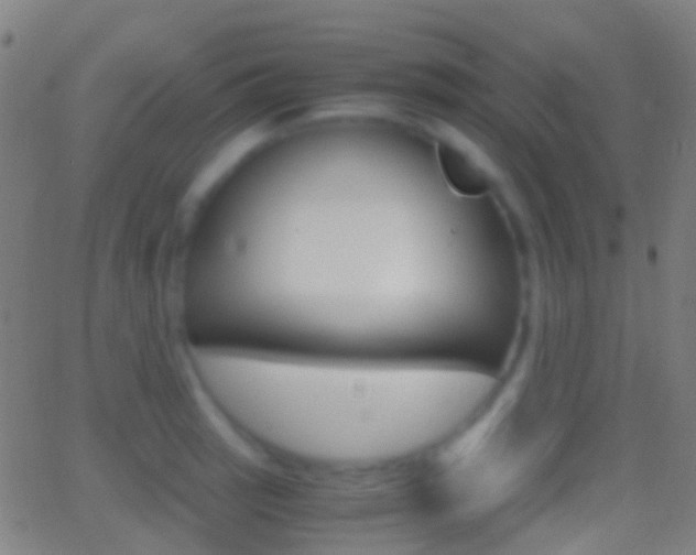 X0000062831137200601130907