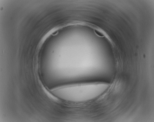 X0000062831143200601130907