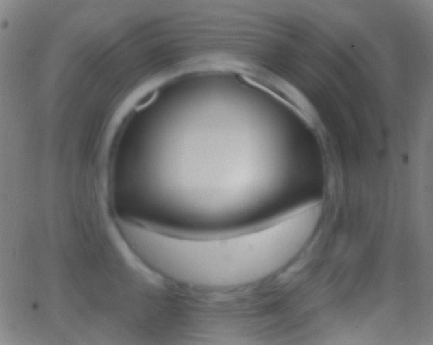 X0000062831144200601130907