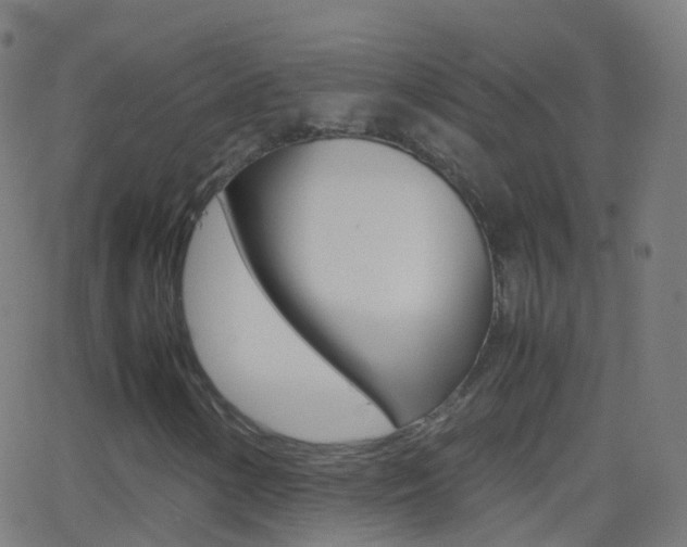 X0000062831154200601130907
