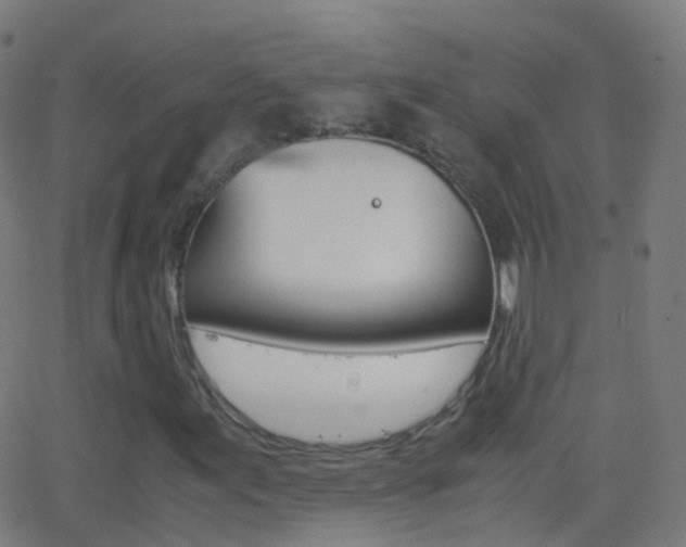 X0000062831155200601130907