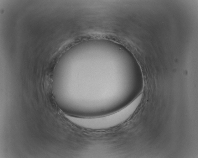 X0000062831157200601130907