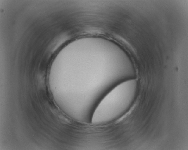 X0000062831162200601130907