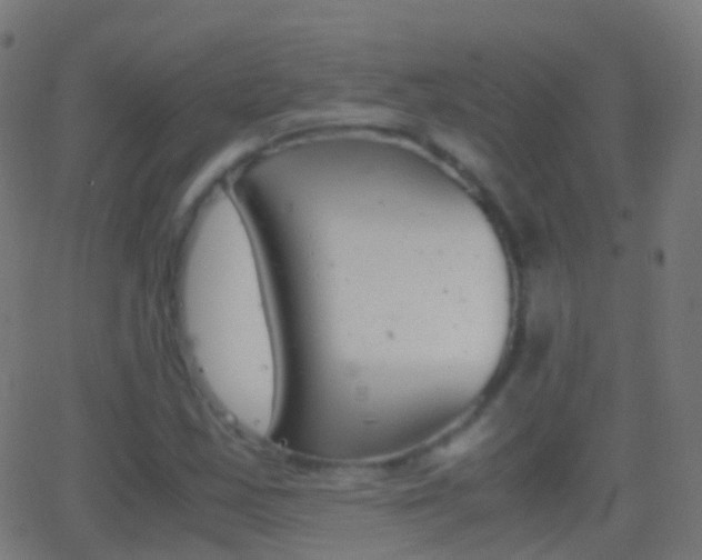 X0000062831163200601130907