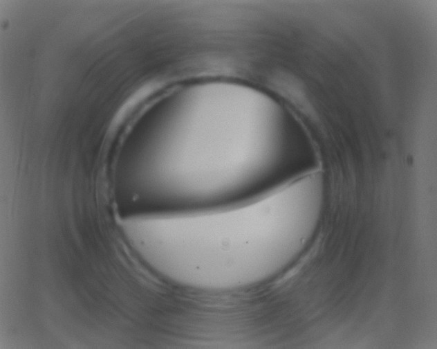 X0000062831172200601130906