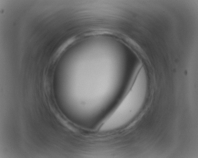 X0000062831177200601130906