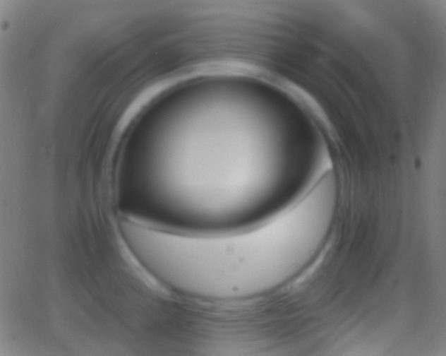 X0000062831192200601130906