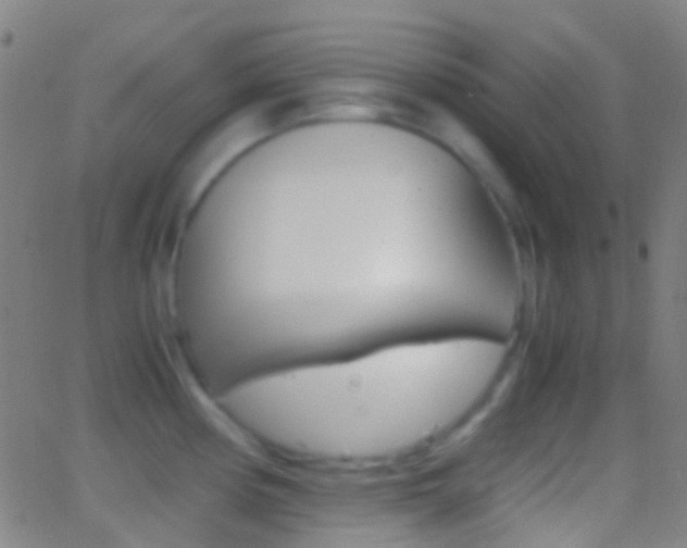X0000062831194200601130906