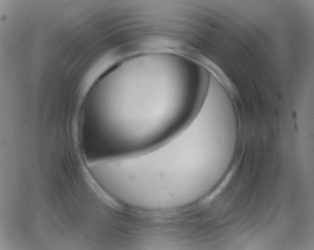 X0000062831196200601130906