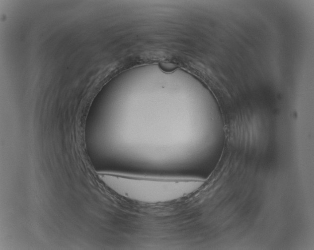 X0000062831201200601130905