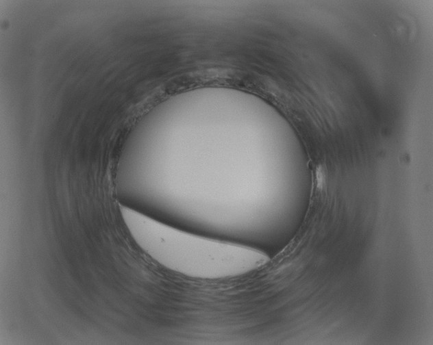 X0000062831203200601130905