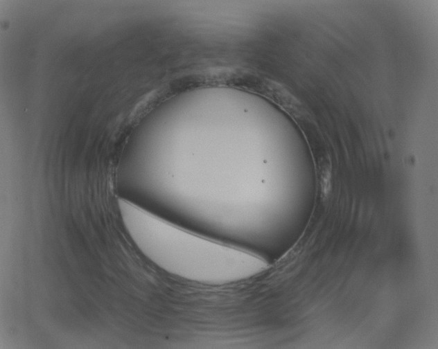 X0000062831204200601130905