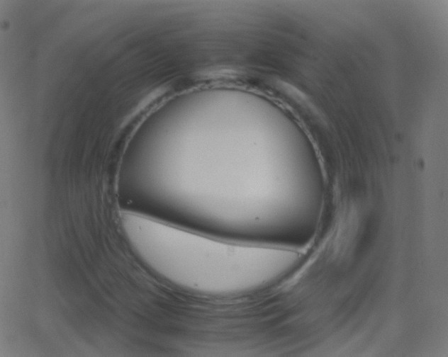 X0000062831209200601130905