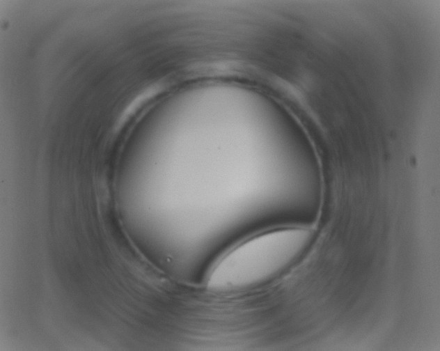 X0000062831218200601130905