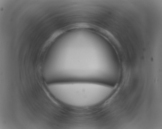 X0000062831225200601130906