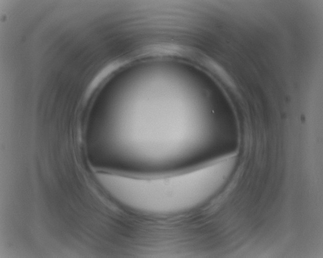 X0000062831226200601130906