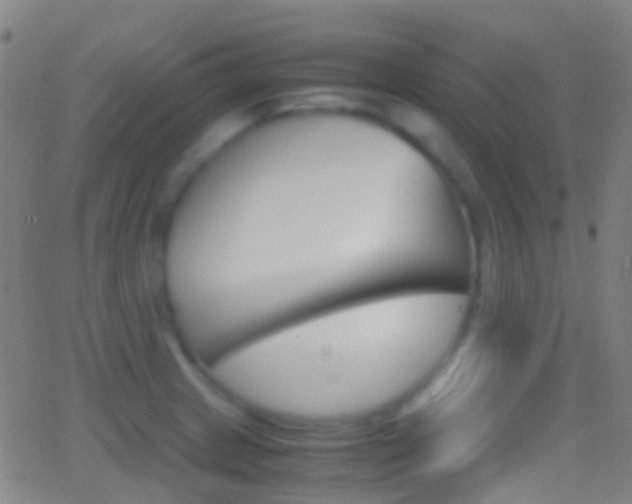 X0000062831233200601130906
