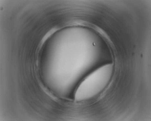 X0000062831234200601130906