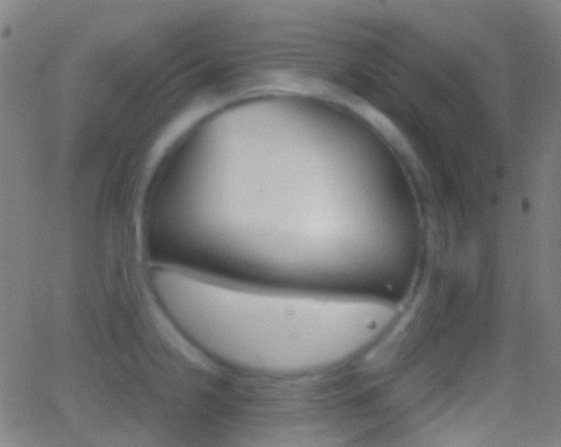 X0000062831238200601130906