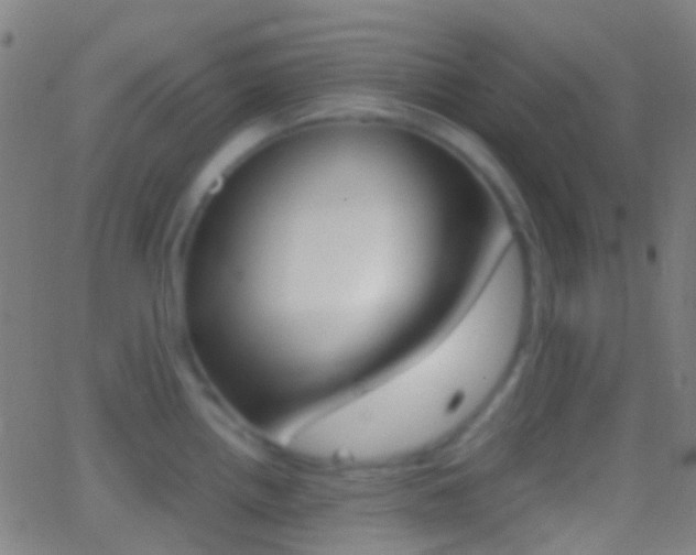 X0000062831242200601130906