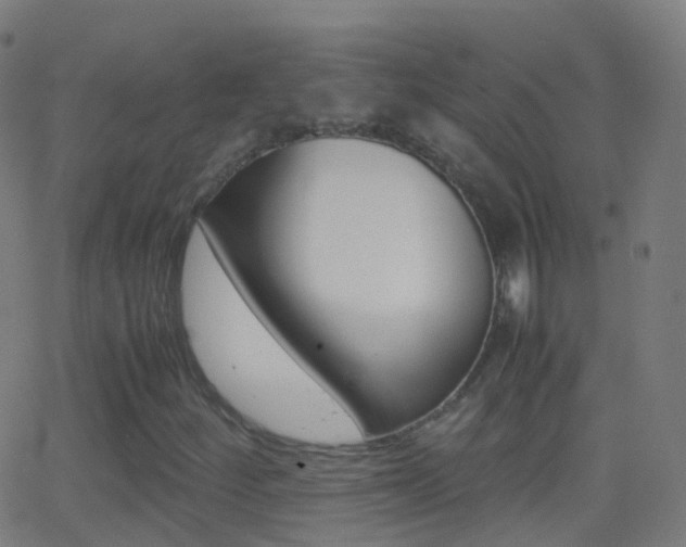 X0000062831252200601130905