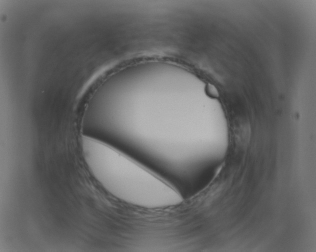 X0000062831256200601130905