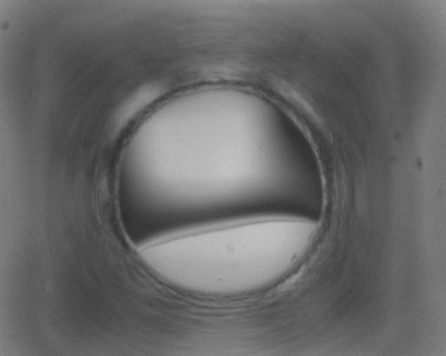 X0000062831261200601130905