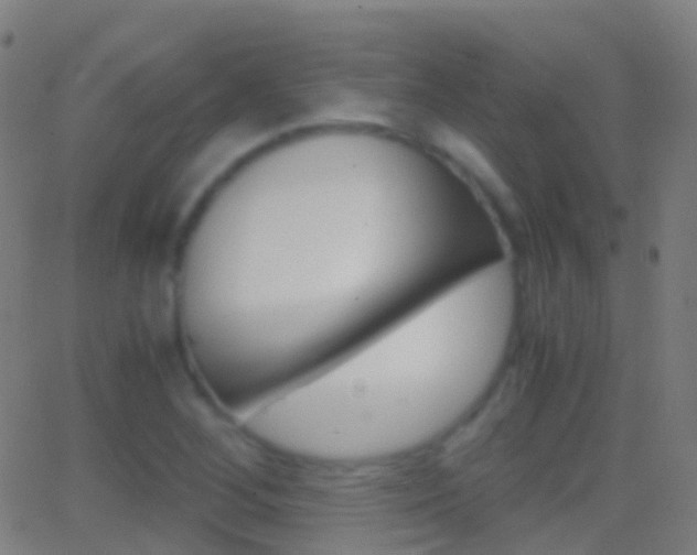 X0000062831268200601130905