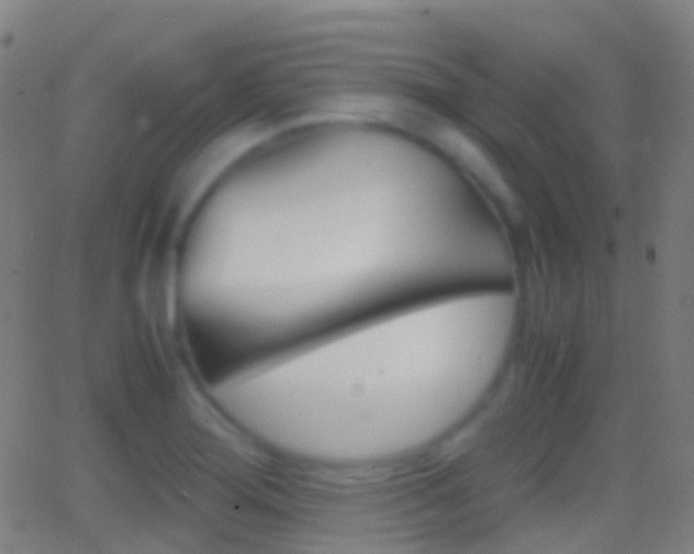 X0000062831276200601130905