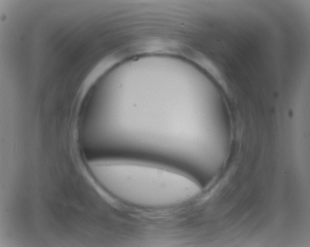 X0000062831285200601130905