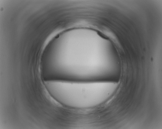 X0000062831288200601130905