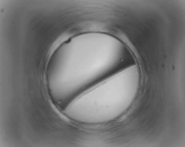 X0000062831293200601130904