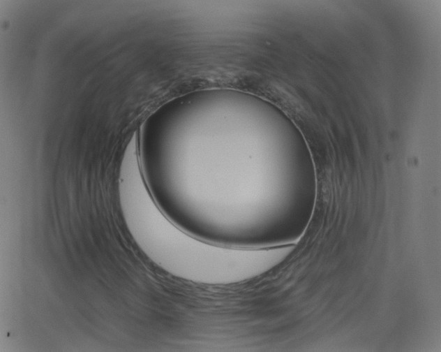 X0000062831298200601130904
