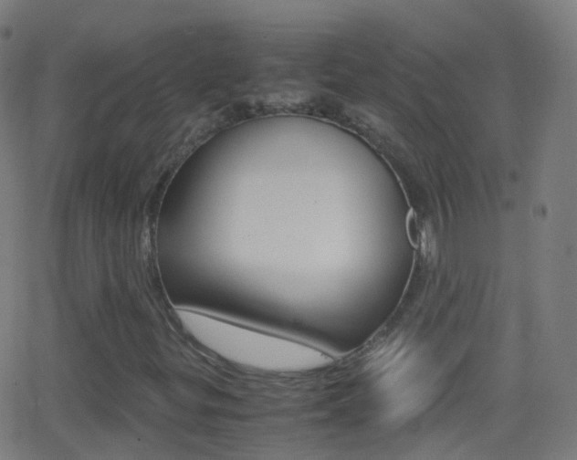 X0000062831299200601130904