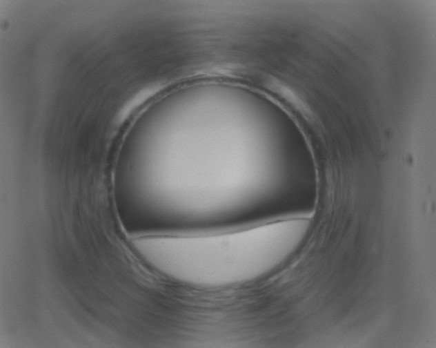 X0000062831308200601130904