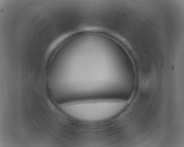 X0000062831319200601130904