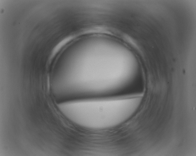 X0000062831320200601130904