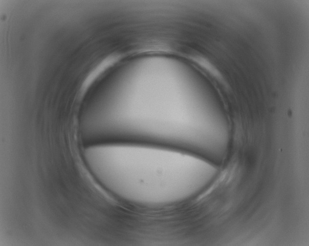 X0000062831325200601130904