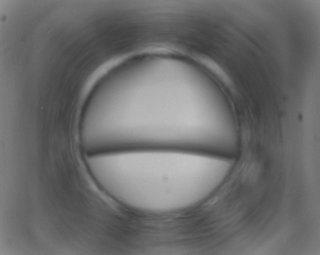 X0000062831327200601130904
