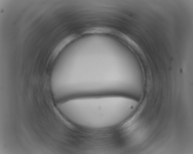 X0000062831329200601130904