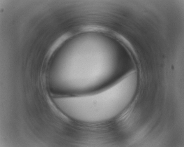 X0000062831330200601130904