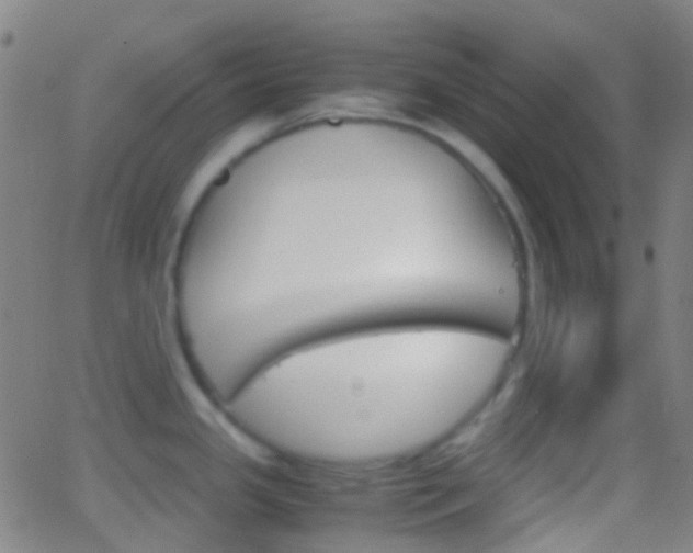 X0000062831341200601130904